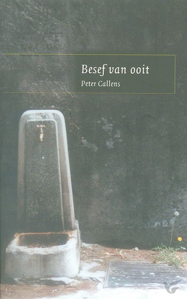 Productafbeelding: voorkant van Besef van ooit