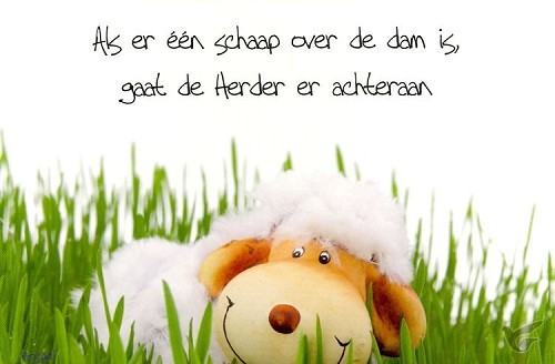 Productafbeelding: voorkant van Prentbriefkaart als er een schaap over d