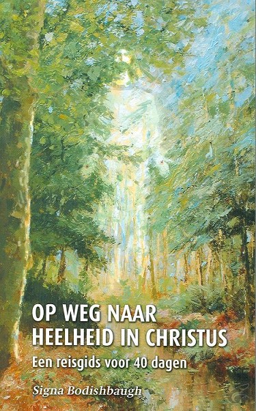Productafbeelding: voorkant van Op weg naar heelheid in Christus