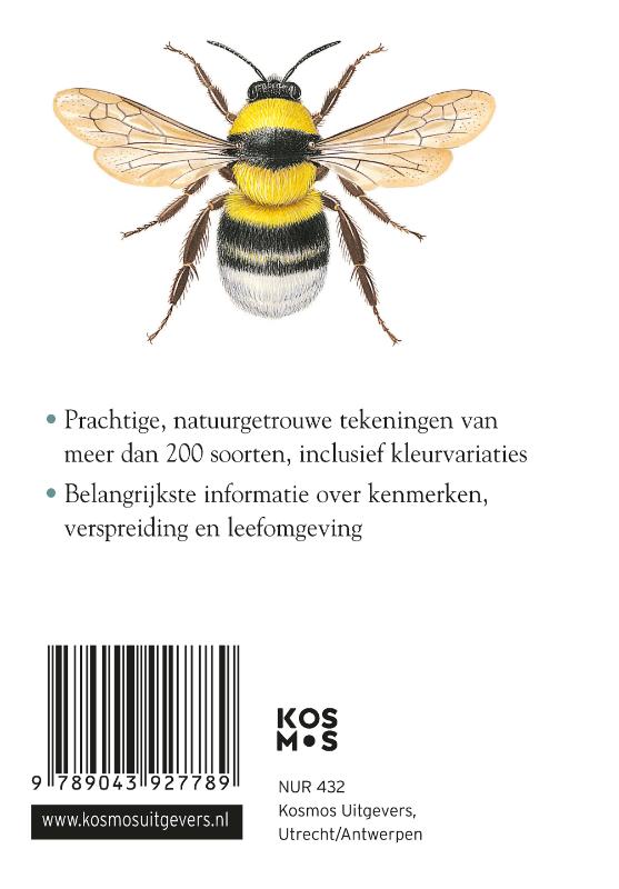 Productafbeelding: achterkant van Compactgids Insecten