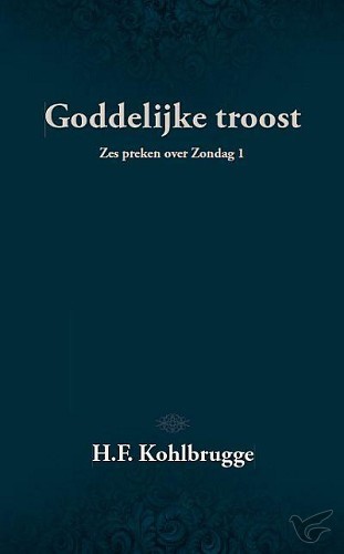 Productafbeelding: voorkant van Goddelijke troost