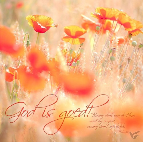 Productafbeelding: voorkant van Kaart m env God is goed