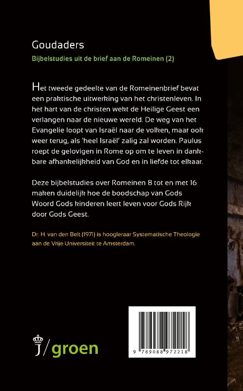 Productafbeelding: achterkant van Goudaders