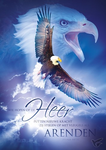Productafbeelding: voorkant van Poster A3 wie hopen op de Heer (arend)
