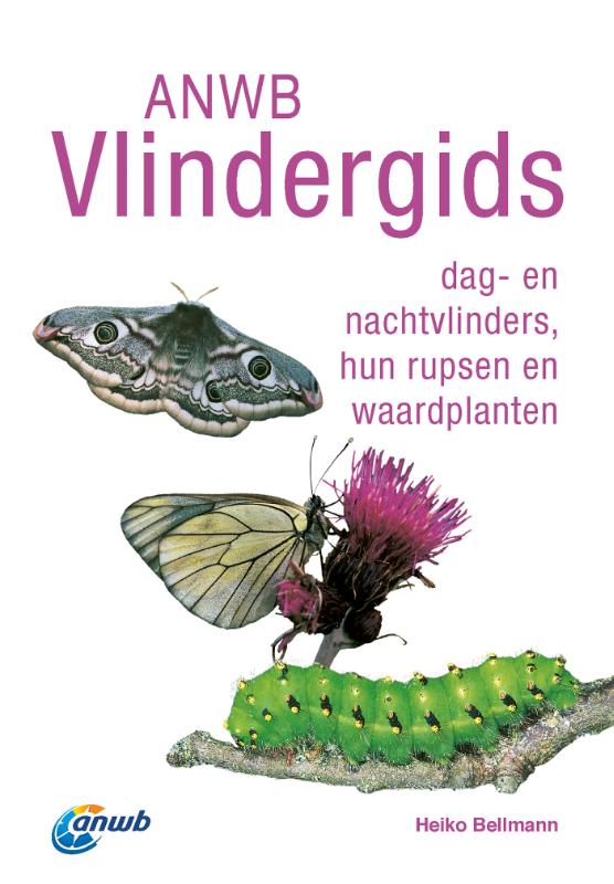 Productafbeelding: voorkant van ANWB Vlindergids