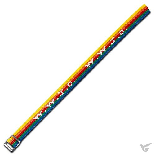 Productafbeelding: voorkant van W w j d armbandje geweven regenboogkleur