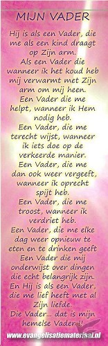 Productafbeelding: voorkant van Boekenlegger mijn Vader