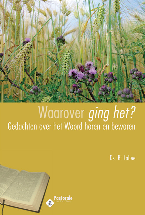 Productafbeelding: voorkant van Waarover ging het?