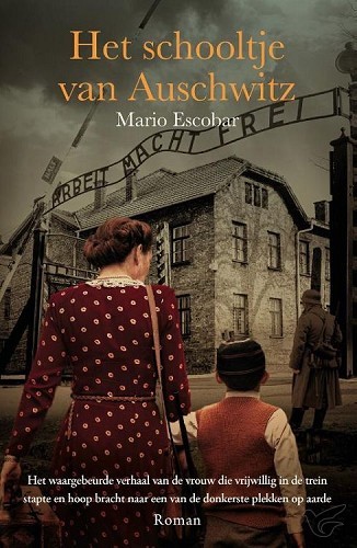 Productafbeelding: voorkant van Schooltje van auschwitz