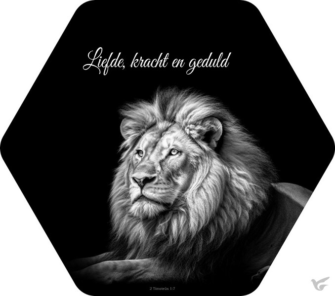 Productafbeelding: voorkant van Liefde kracht en geduld Leeuw