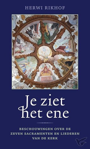 Productafbeelding: voorkant van Je ziet het ene