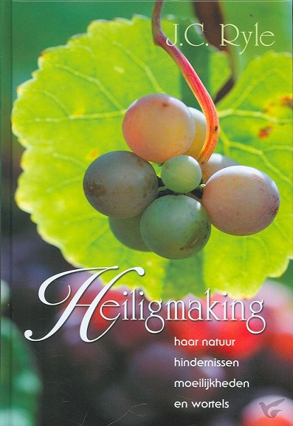 Productafbeelding: voorkant van Heiligmaking GEBONDEN