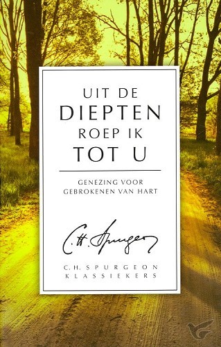 Productafbeelding: voorkant van Uit de diepten roep ik tot U