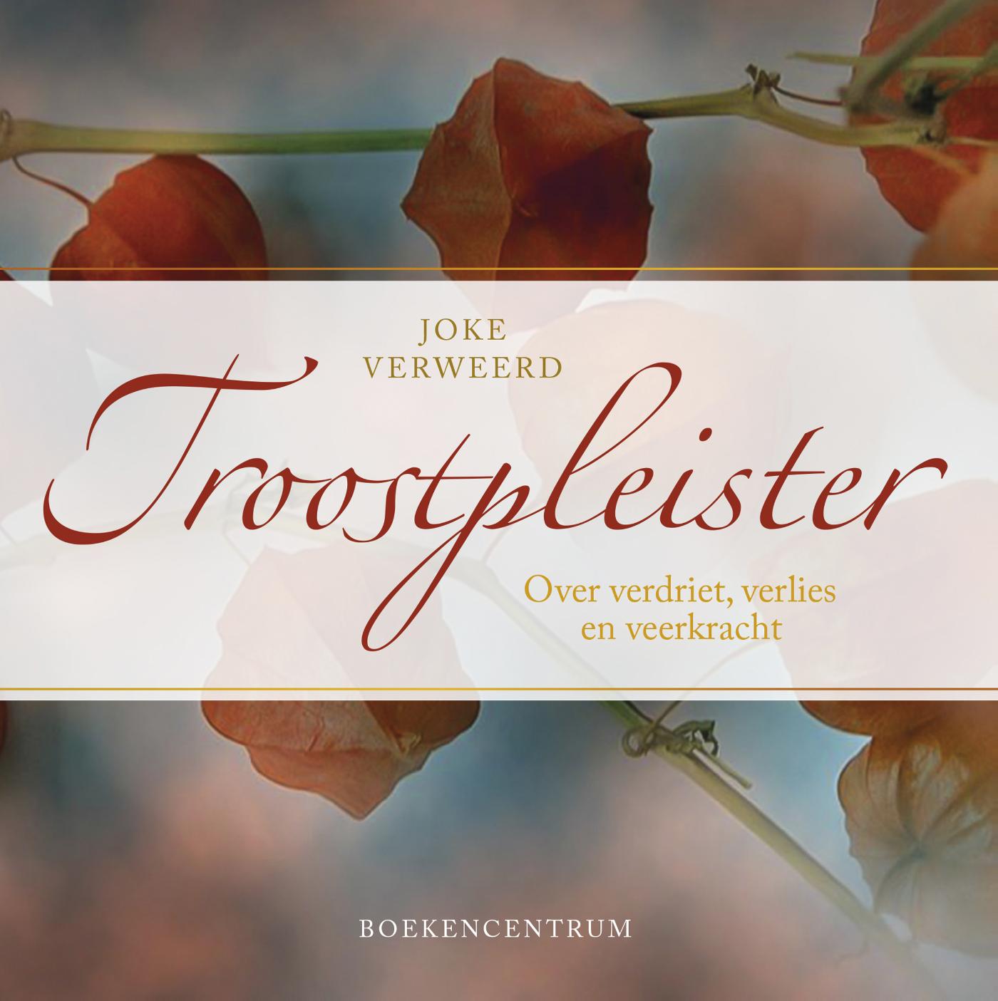 Productafbeelding: voorkant van Troostpleister