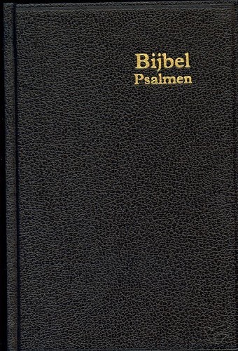Productafbeelding: voorkant van Schoolbijbel S21 psalmen kunstl