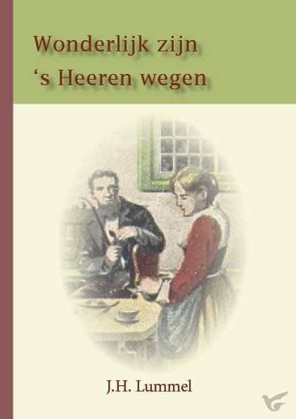 Productafbeelding: voorkant van Wonderlijk zijn 's Heeren wegen