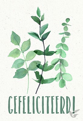 Productafbeelding: voorkant van Wenskaart gefeliciteerd