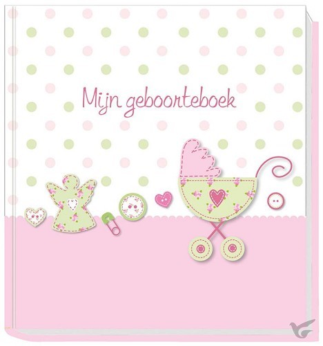 Productafbeelding: voorkant van Mijn geboorteboek roze