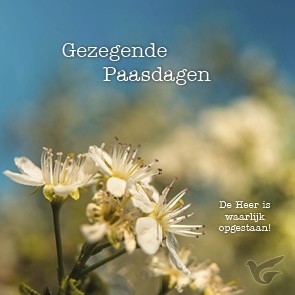 Productafbeelding: voorkant van Kaart gezegende paasdagen bloesem