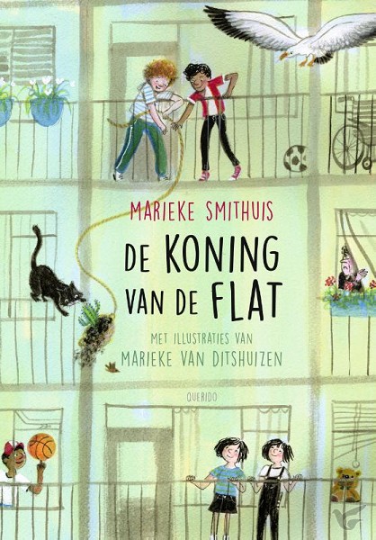 Productafbeelding: voorkant van Koning van de flat