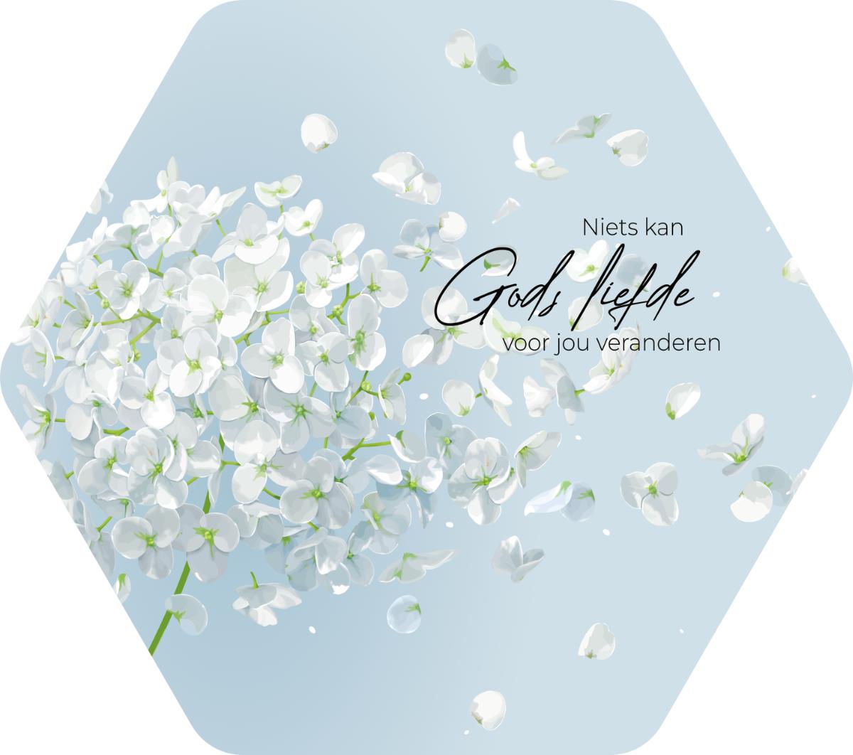Productafbeelding: voorkant van Niets kan Gods liefde voor jou veranderen