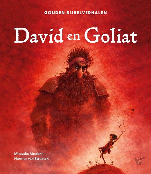 Productafbeelding: voorkant van David en Goliat