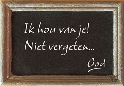 Productafbeelding: voorkant van Vergeetmenietje ik hou van je