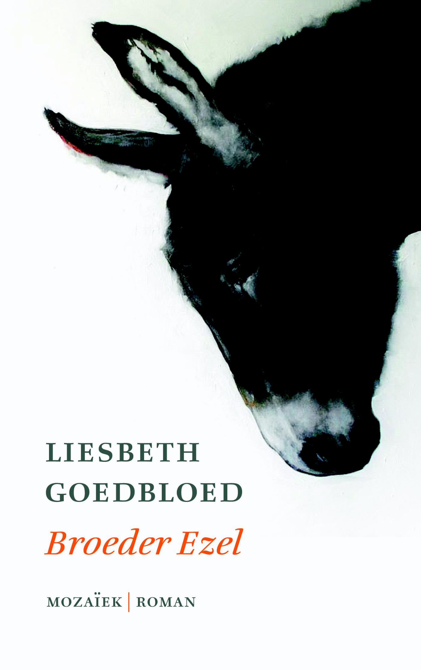 Productafbeelding: voorkant van Broeder ezel