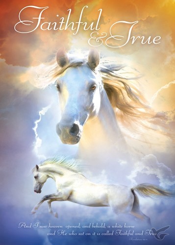 Productafbeelding: voorkant van Poster 50x70 faithful