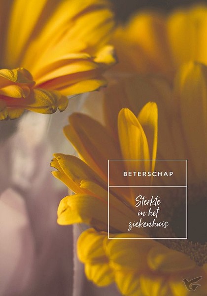 Productafbeelding: voorkant van Beterschap wensboekje set3