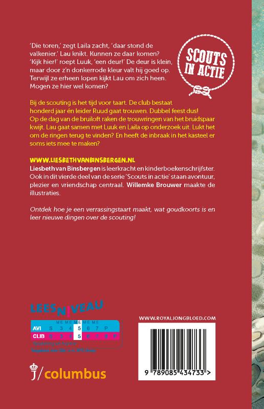 Productafbeelding: achterkant van Het raadsel van de ringen