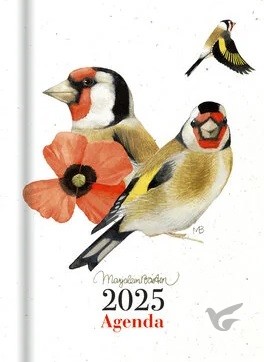 Productafbeelding: voorkant van Agenda 2026 1wk / 2 pagina's