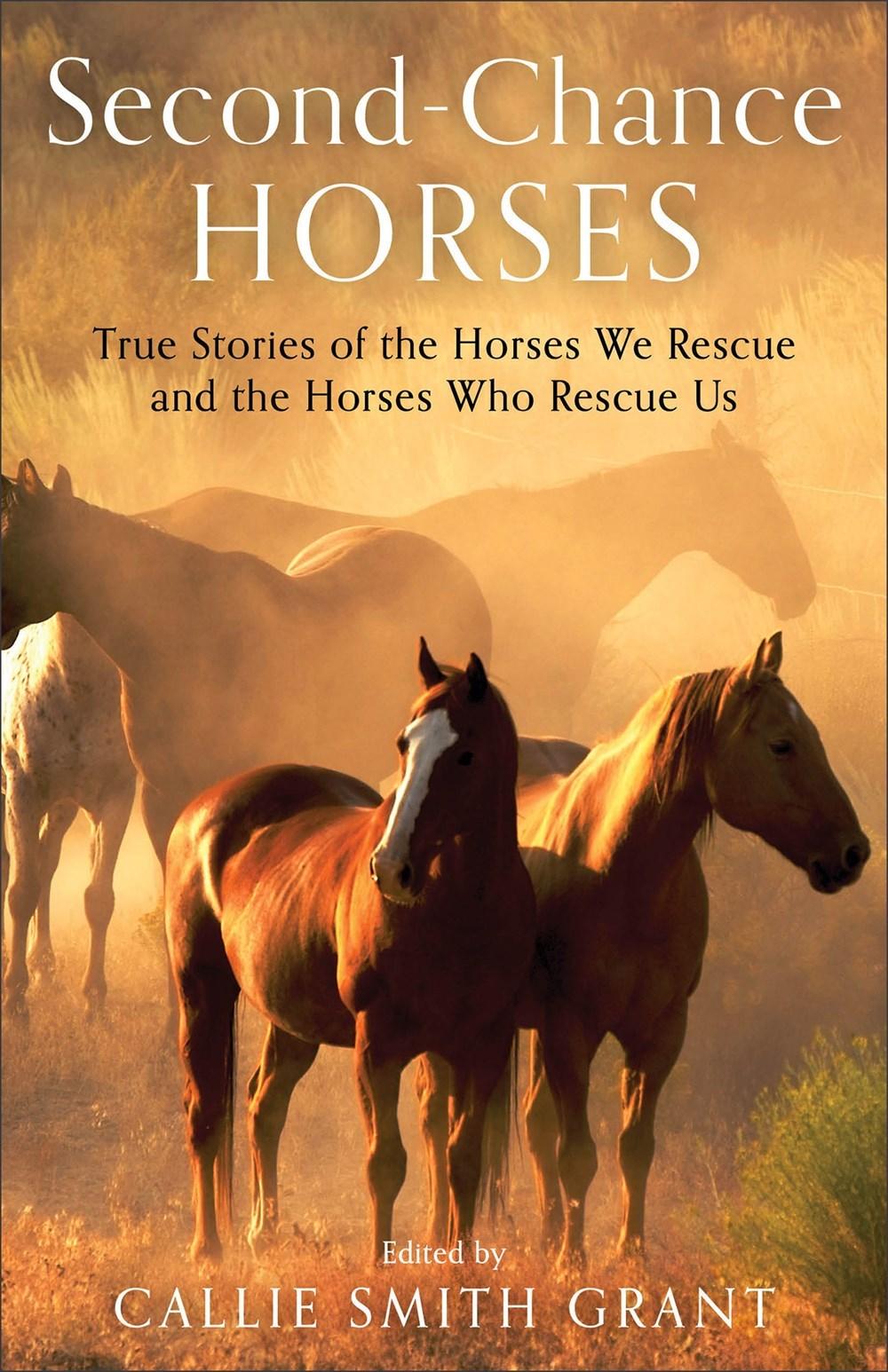 Productafbeelding: voorkant van Second-Chance Horses