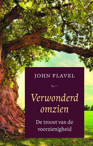 Productafbeelding: voorkant van Verwonderd omzien
