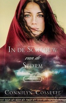 Productafbeelding: voorkant van In de schaduw van de storm
