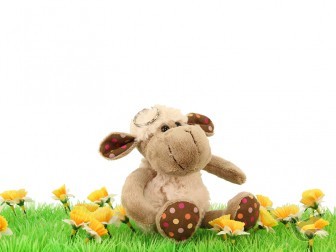 Productafbeelding: voorkant van Lamb curly keyring 12cm