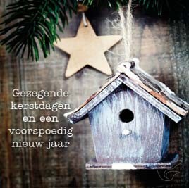 Productafbeelding: voorkant van Kerstkaart vogelhuisje en ster gezegende