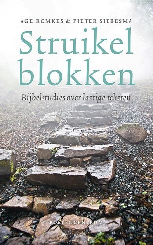 Productafbeelding: voorkant van Struikelblokken