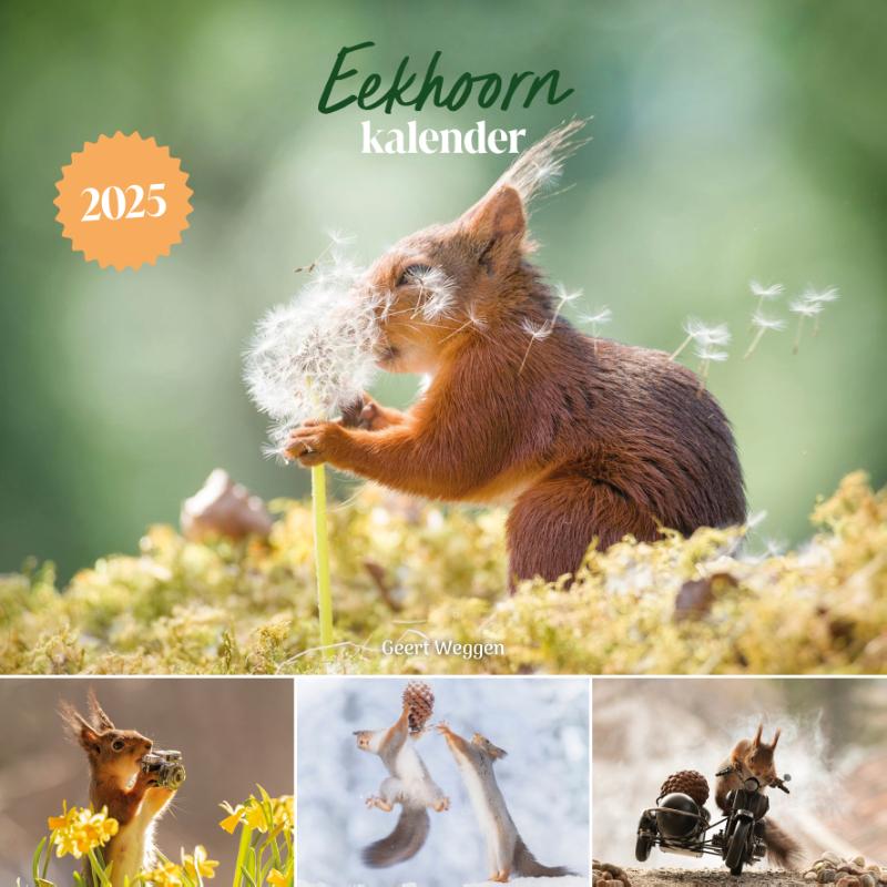 Productafbeelding: voorkant van Eekhoorn kalender 2025