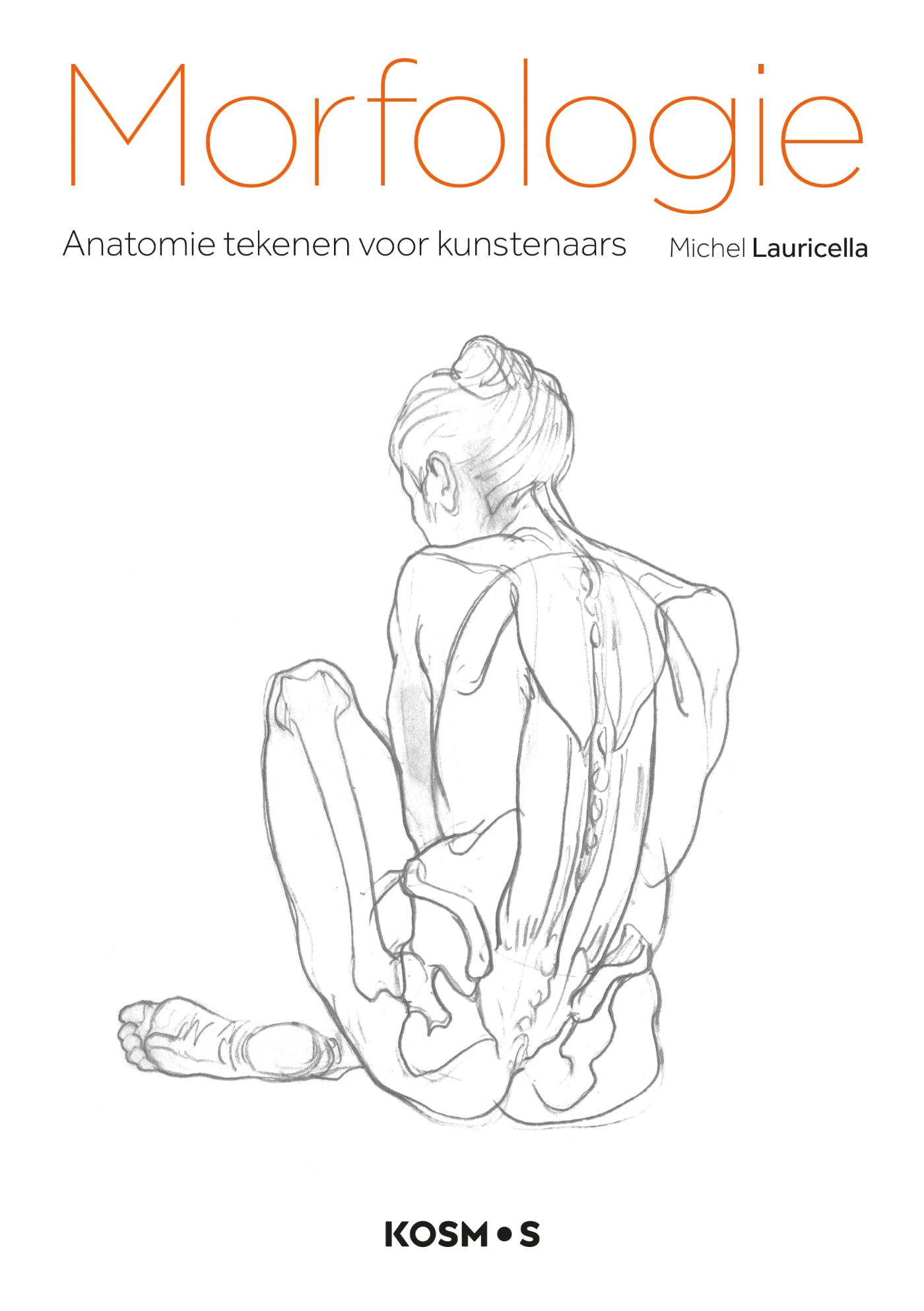 Productafbeelding: voorkant van Morfologie