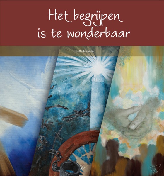 Productafbeelding: voorkant van Begrijpen is te wonderbaar