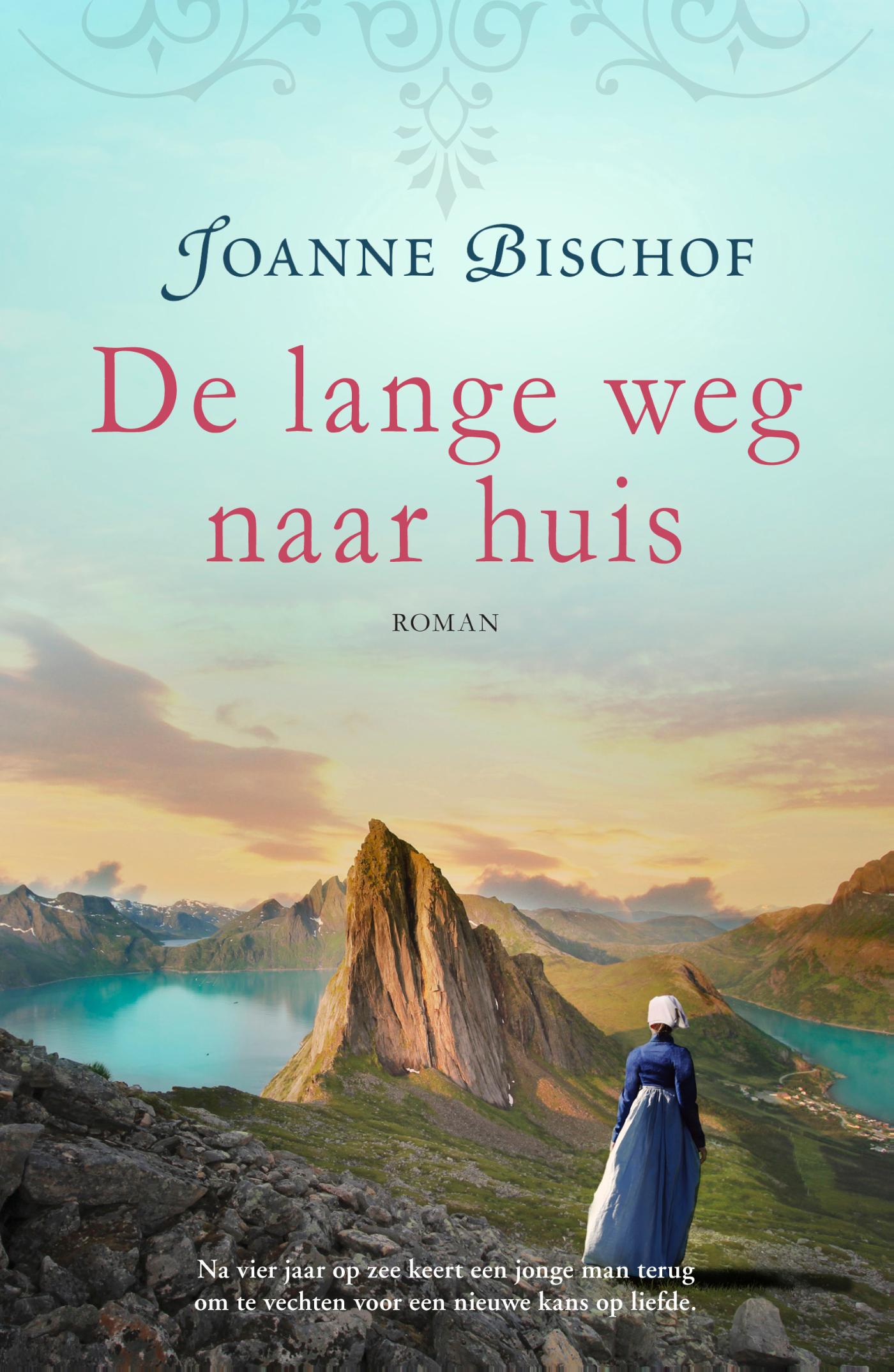 Productafbeelding: voorkant van De lange weg naar huis