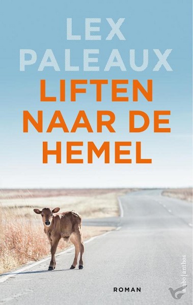 Productafbeelding: voorkant van Liften naar de hemel
