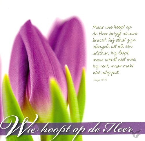 Productafbeelding: voorkant van Wenskaart wie hoopt op de Heer