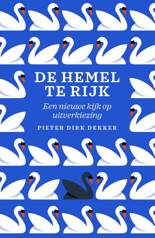 Productafbeelding: voorkant van De hemel te rijk