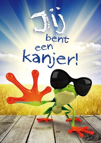 Productafbeelding: voorkant van Poster A3 jij bent een kanjer