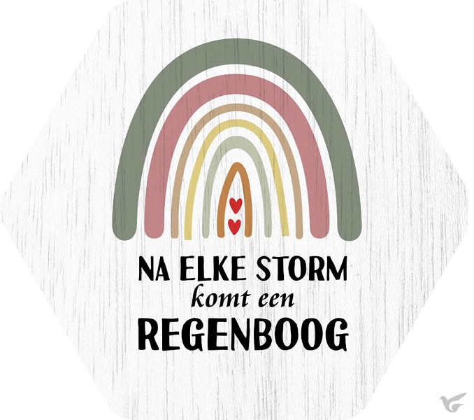 Productafbeelding: voorkant van Na elke storm komt een regenboog