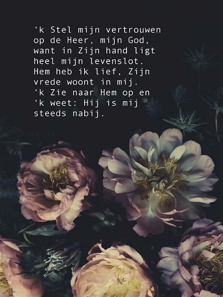 Productafbeelding: voorkant van Wenskaart Stel mijn vertrouwen