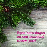 Productafbeelding: voorkant van Kerstkaart kersttak