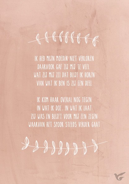 Productafbeelding: voorkant van Wenskaart ik heb mijn moeder niet verlor